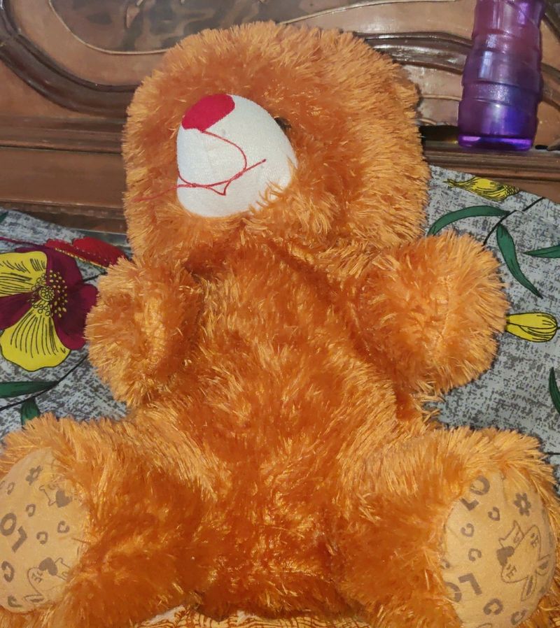 Sofy