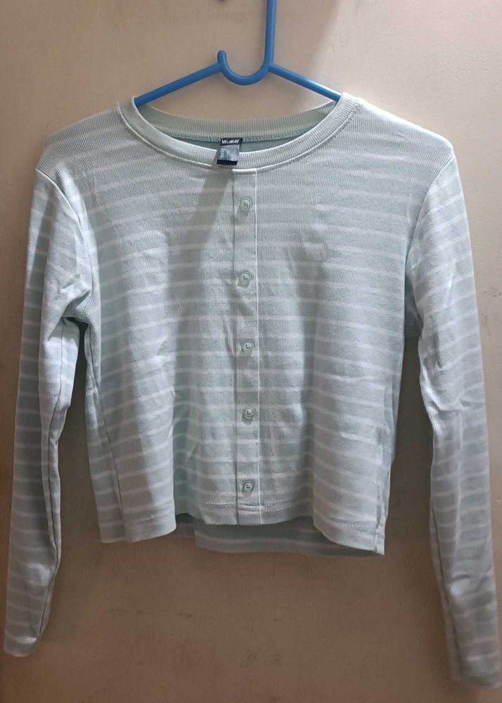 Striped Crop Top - Light Green