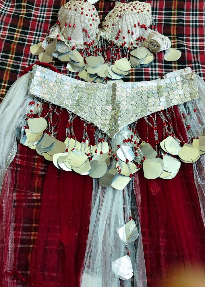 New Belly Dance Dress