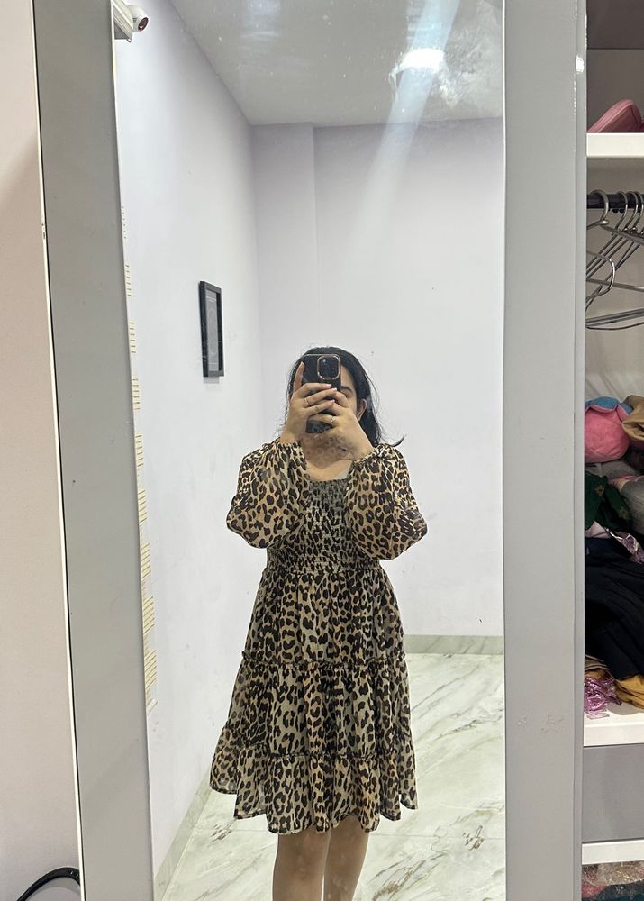 Leopard Print Mini Dress