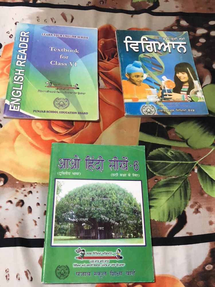 Class 6th Pseb Science, Hindi , Computer Sci.