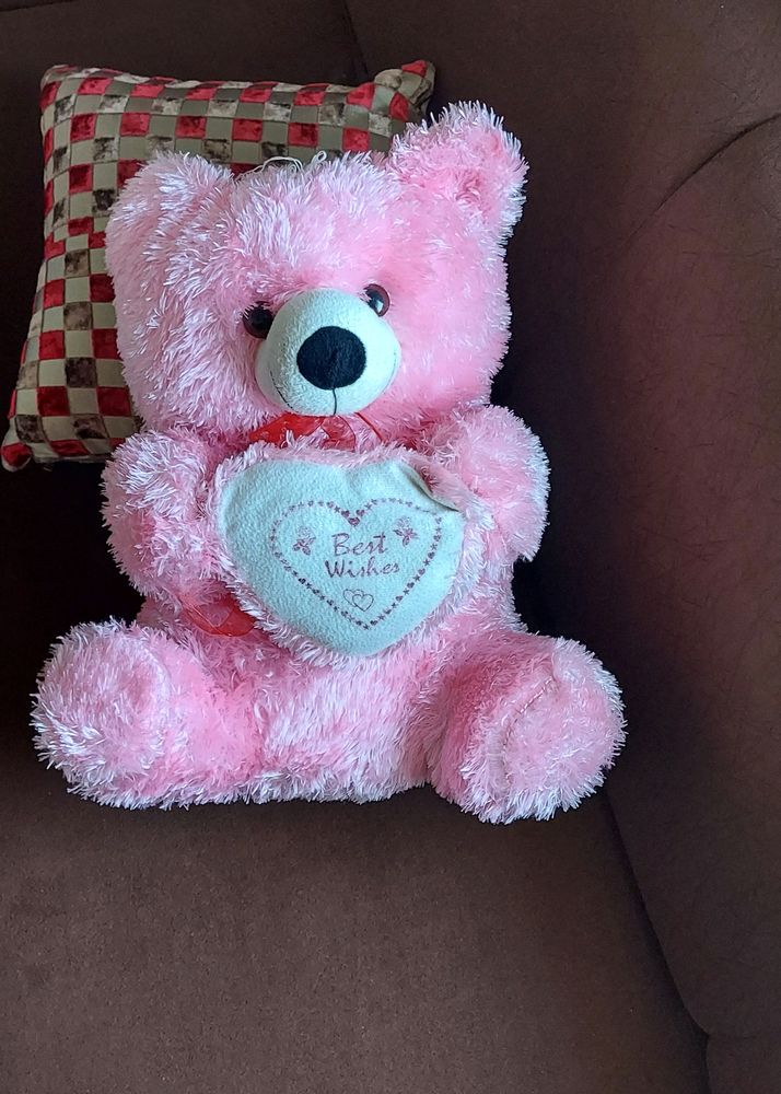 LIGHT PINK 🧸 TEDDY