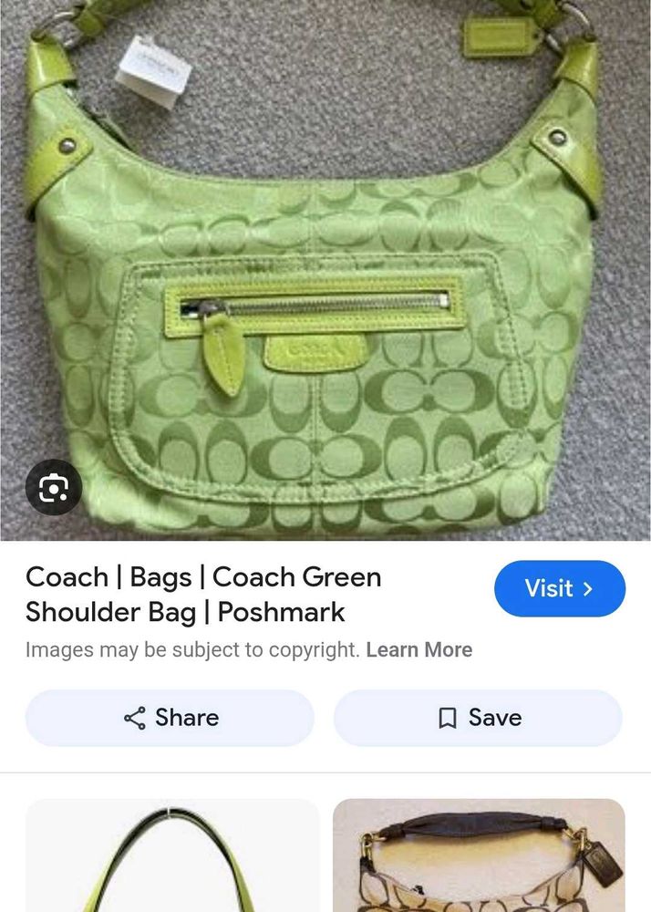 Coach Green Signature Hobo Bag
