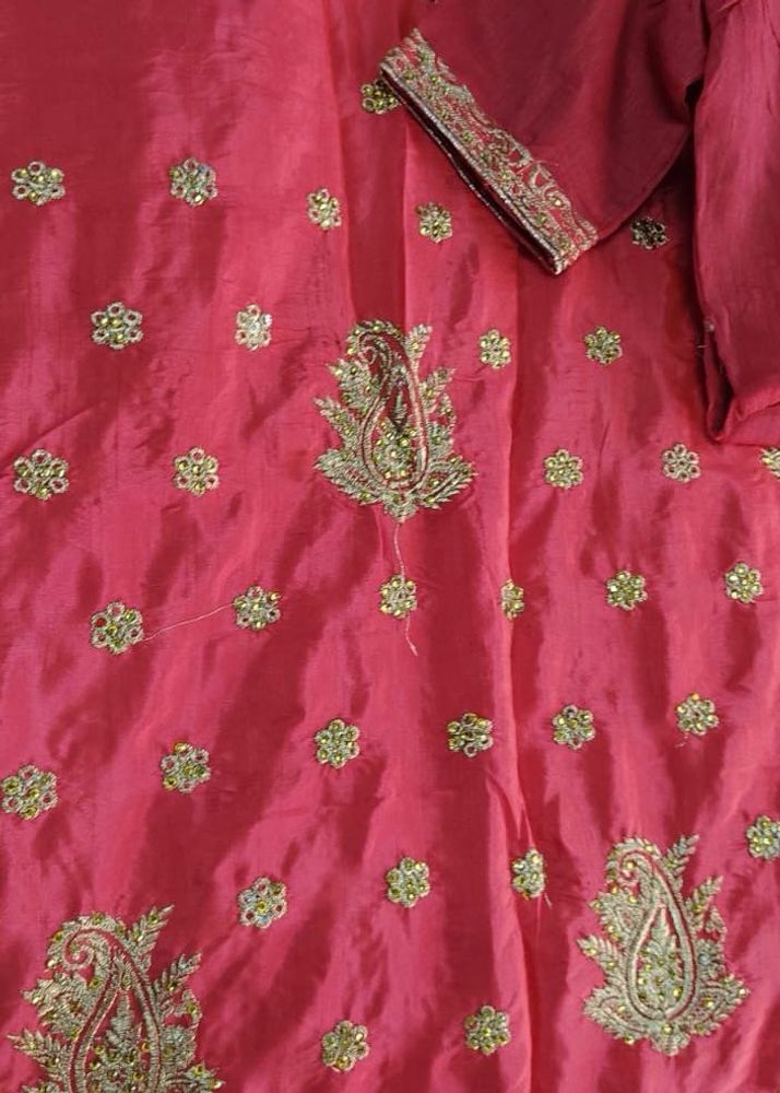 Beautiful Saree with gold embroidery.