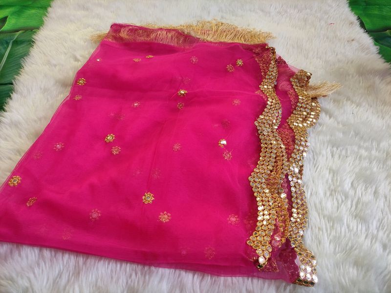 New Net Embroidery Paper Mirror Duppata