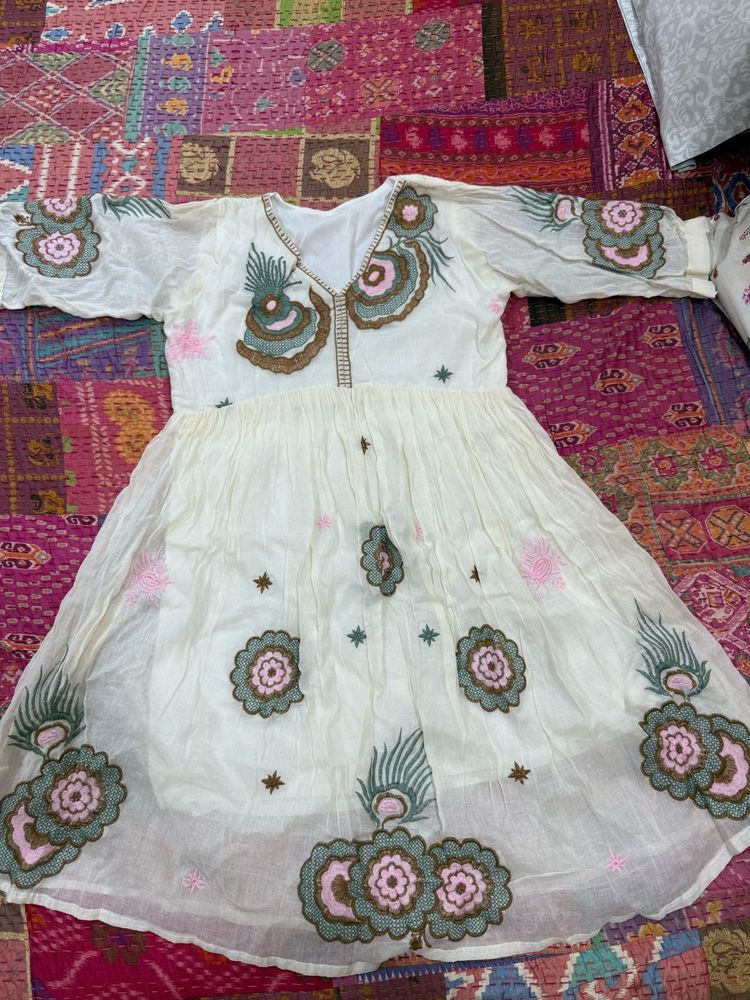 Elegant Embroidered Dress