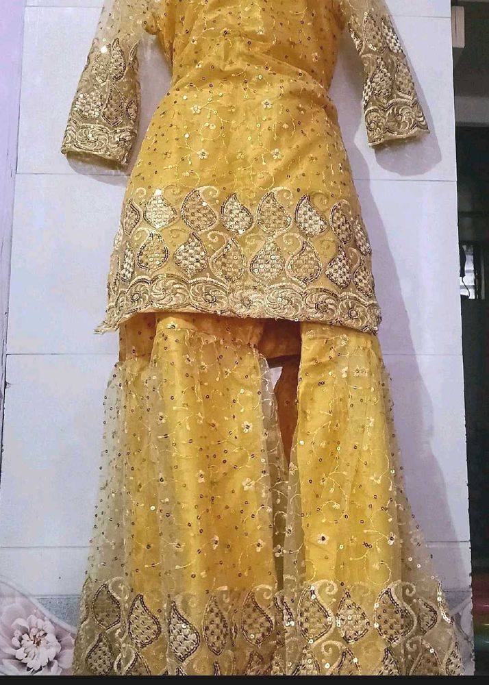 A Beautiful Sharara Set