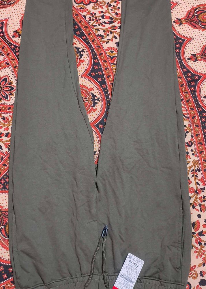Olive Green Casual Pants