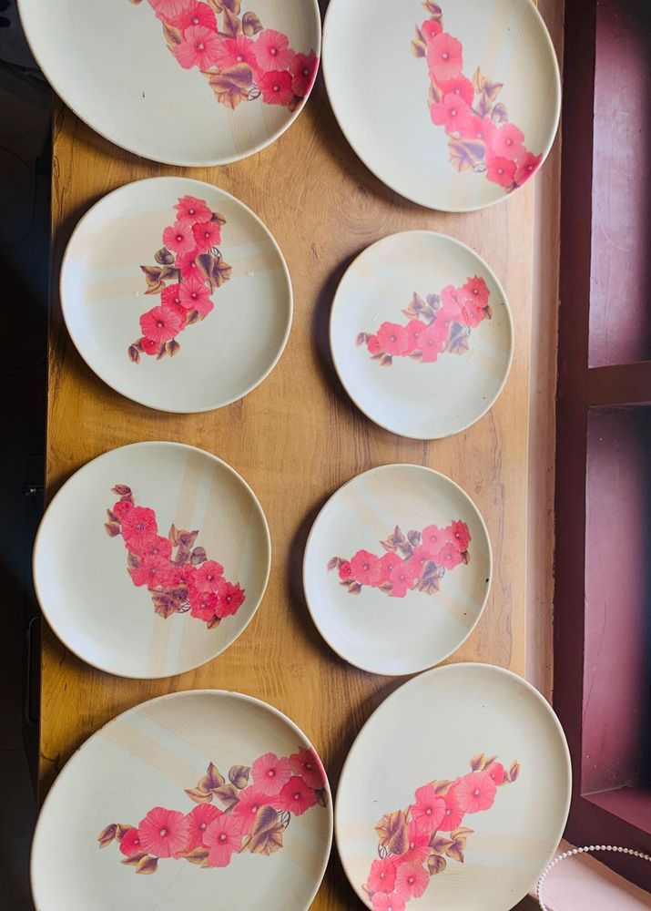 DINNER PLATES