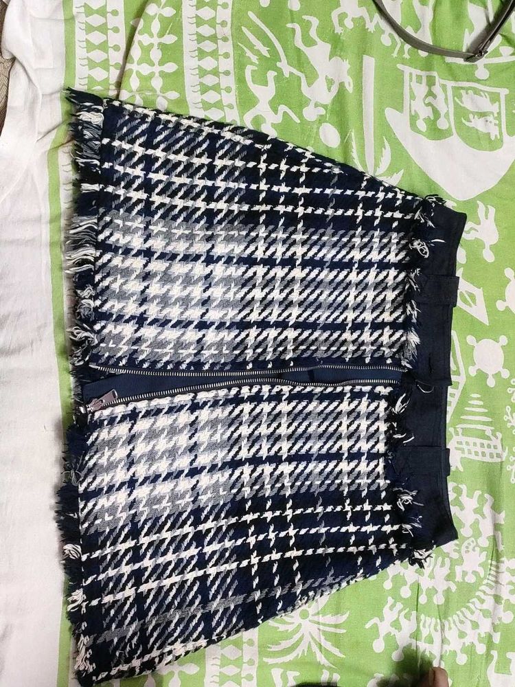 Zara Front Zip Skirt