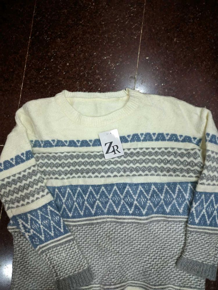 Sweatshirt ✨