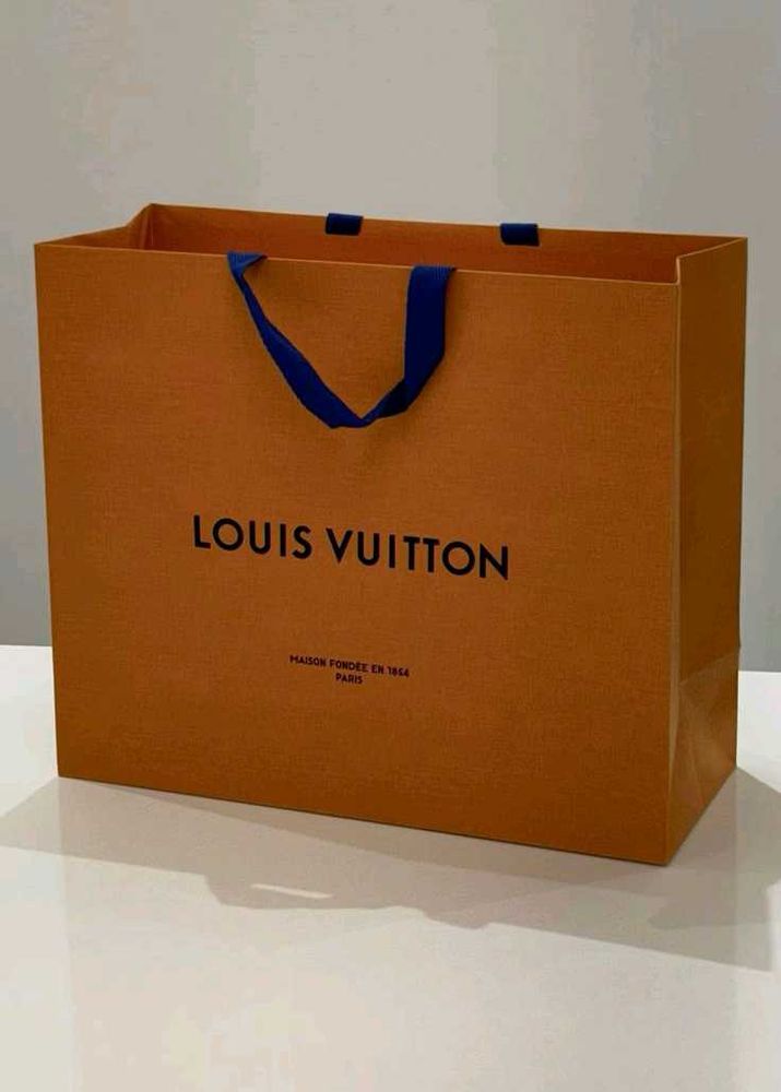 Louis Vuitton Carry bag