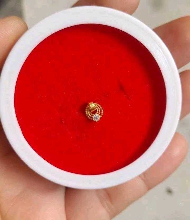 Beautiful New Ring Type Nosering
