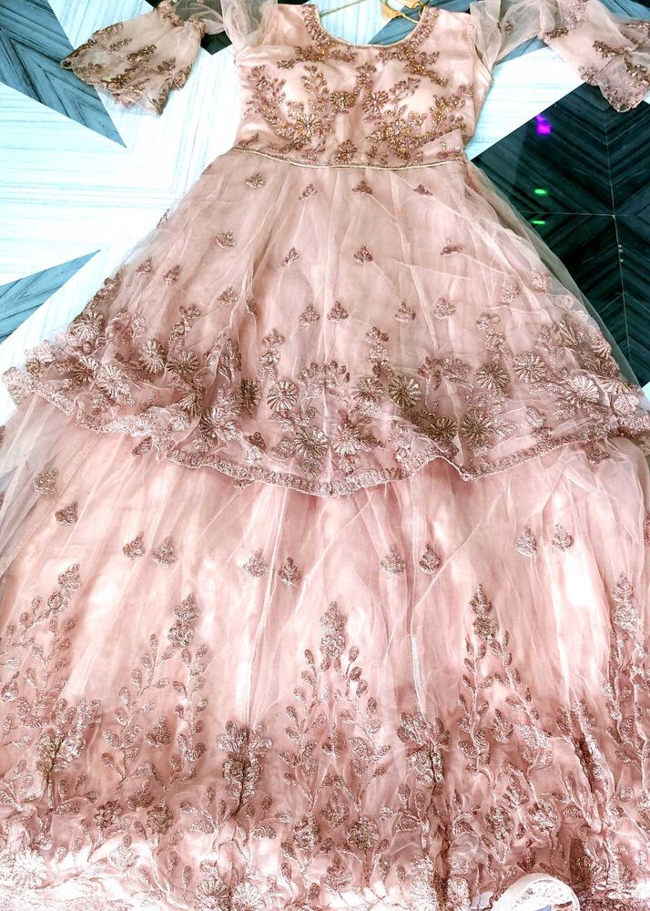 Elegant Peach Net Gown with Embroidery Work