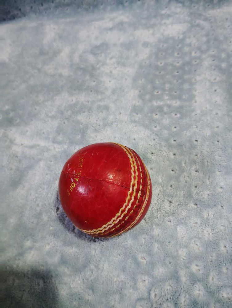 Used Cricket Ball