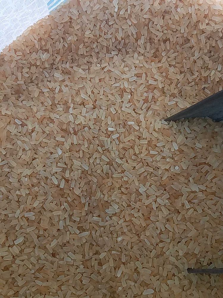 Premium Brown Rice