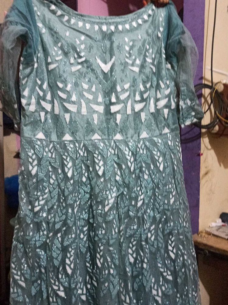 Elegant Ethnic Gown