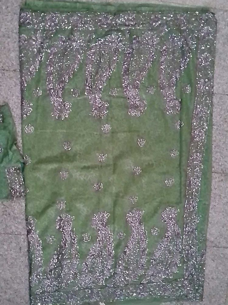 Green &amp; Silver Embroidered Saree