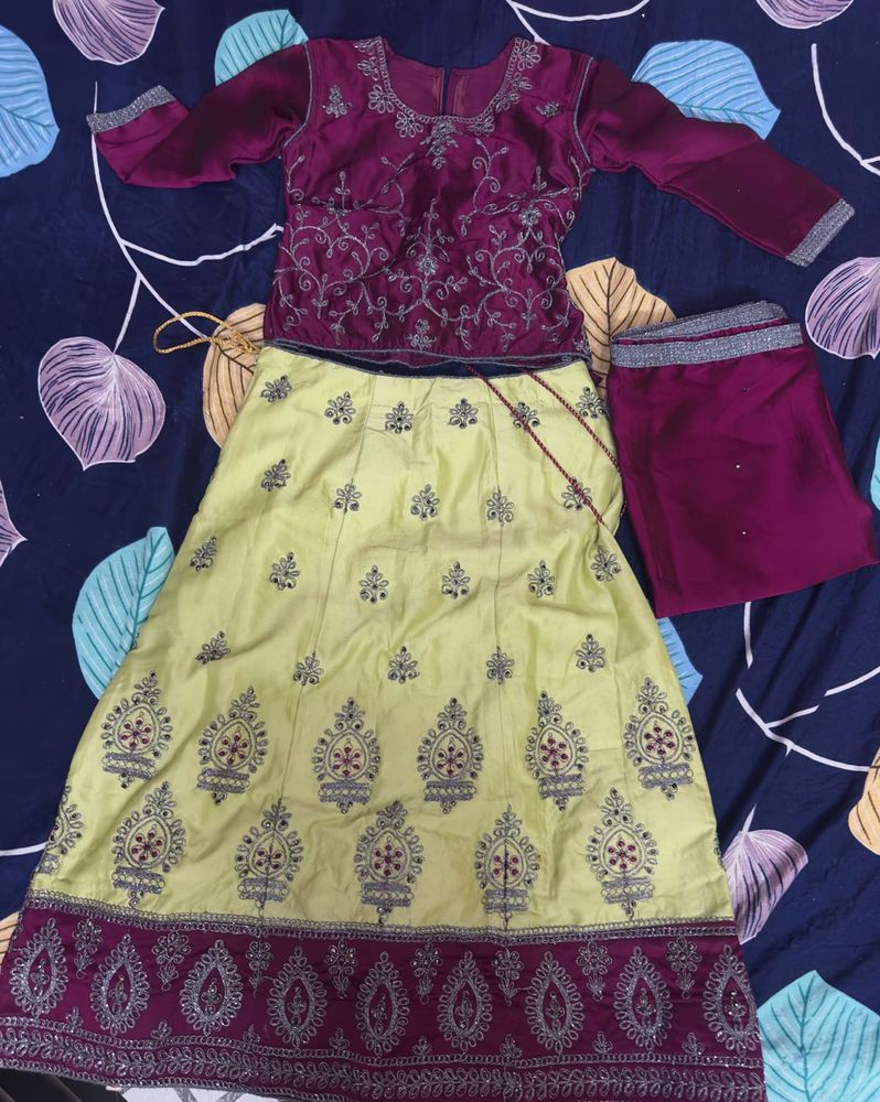 Elegant Embroidered Lehenga Choli Set