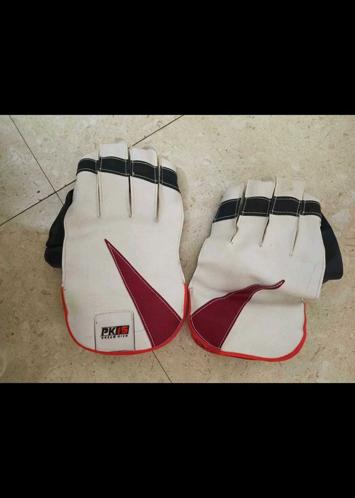 PKI Cricket Wicket Keeping Gloves