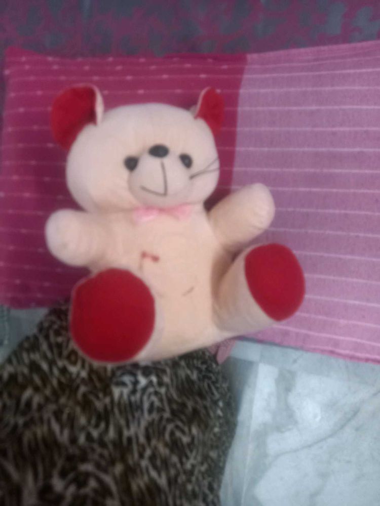 Teddy Bear