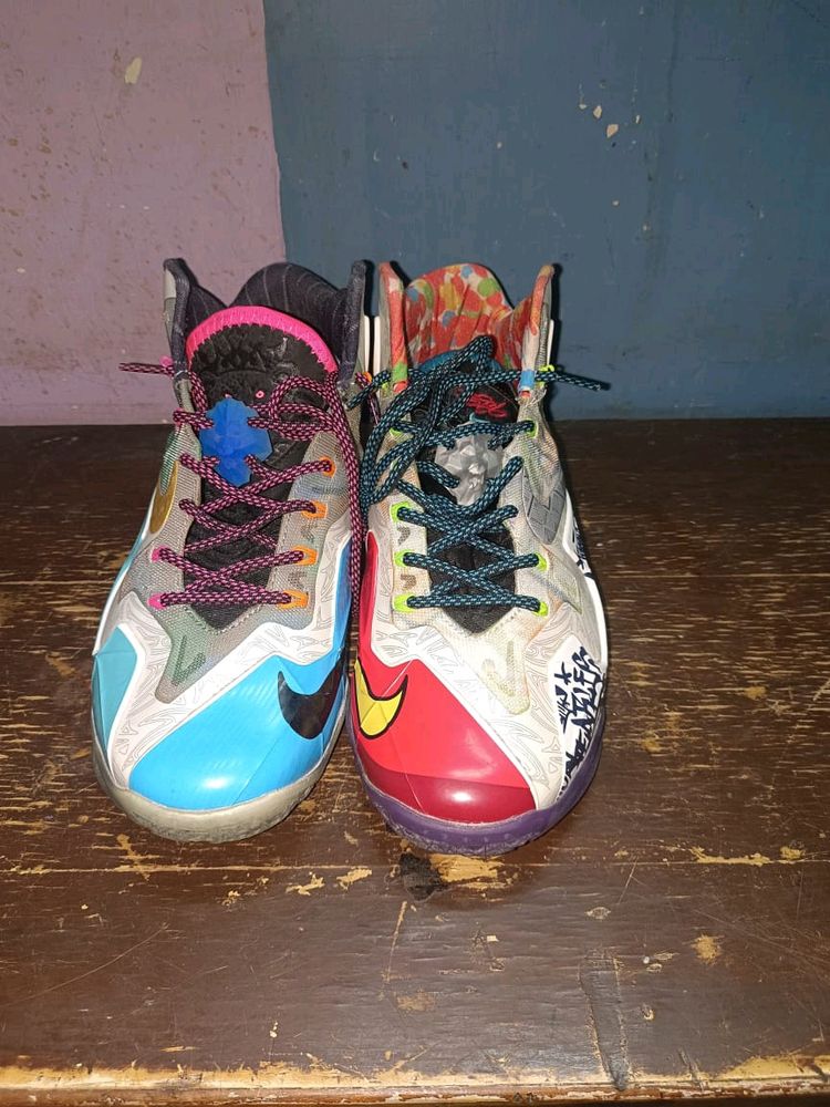 NIKE LEBRON MASTER COPY SHOES