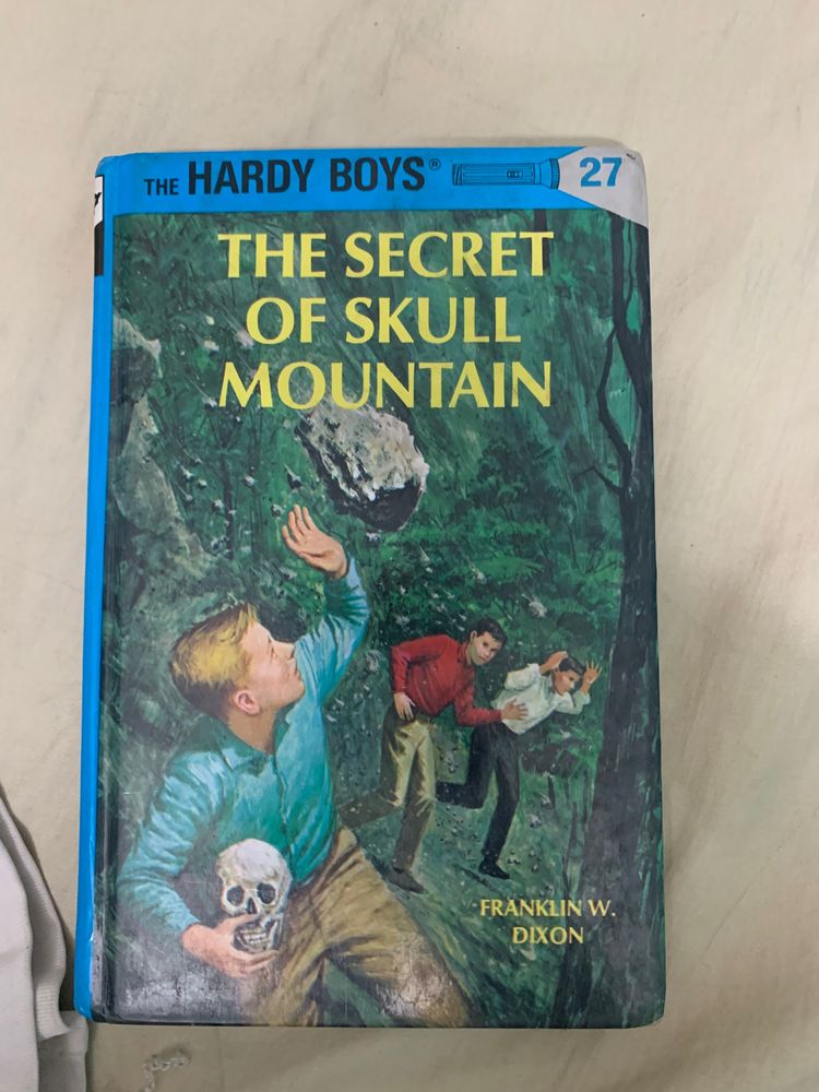 hardy boys story book