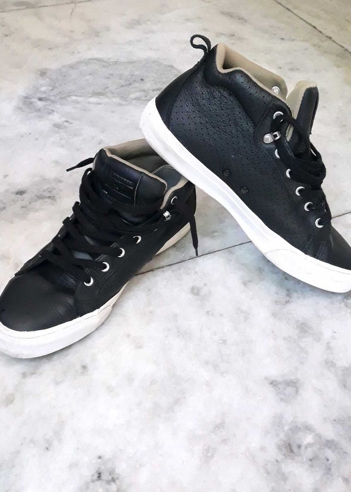 Converse Sneakers