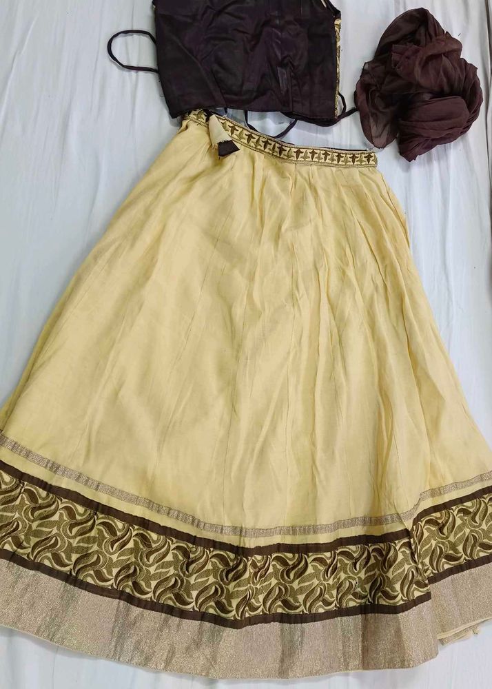 Elegant Lehenga Choli Set