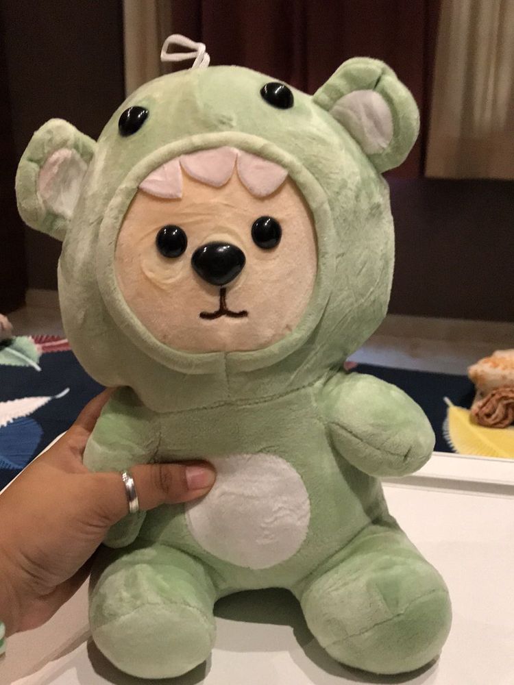 Cute Frog Bear Plush