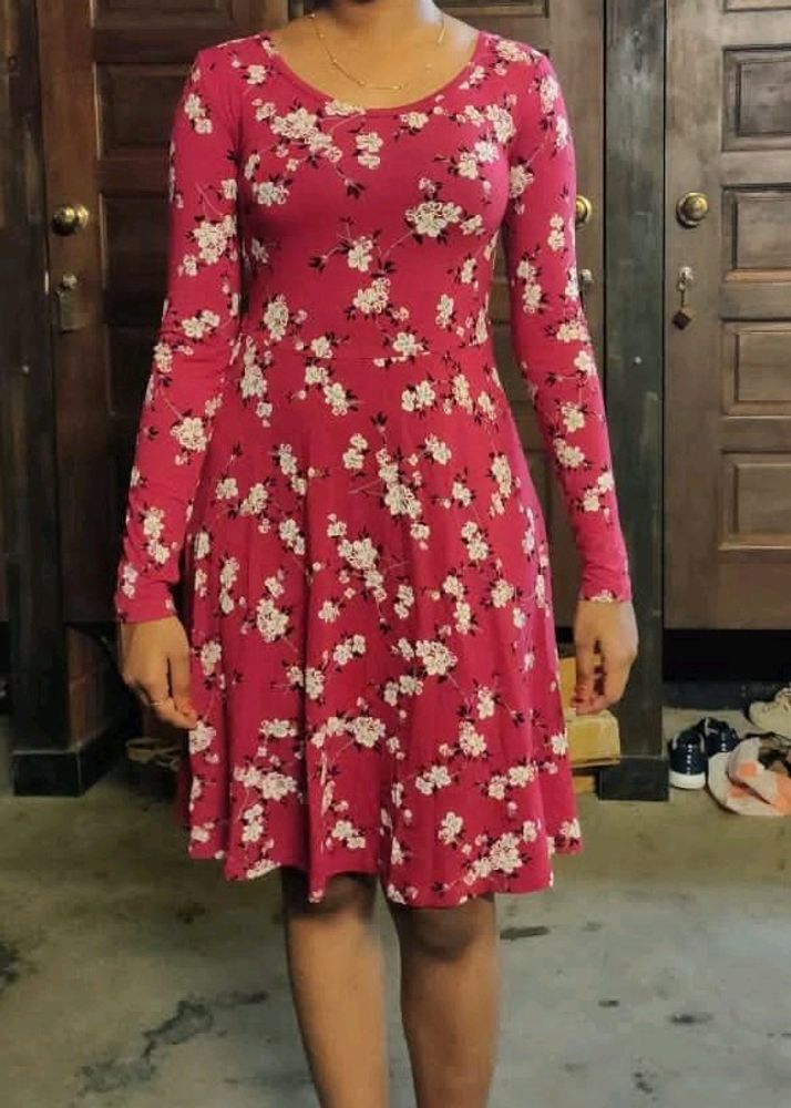 Max Maroon Skater Dress