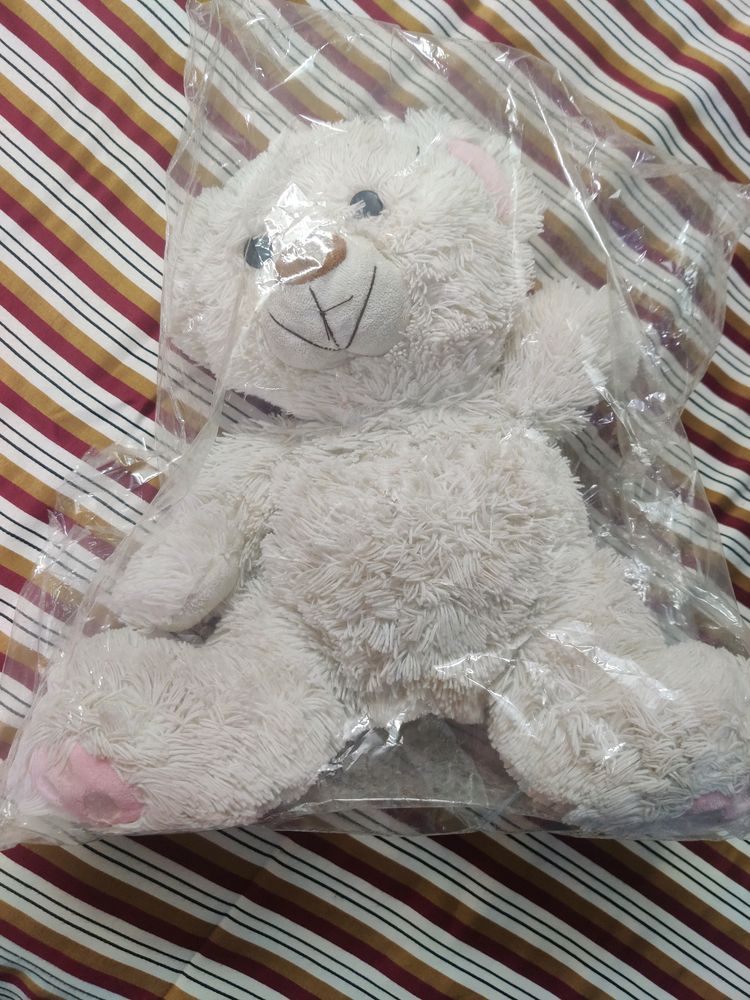 Teddy Bear For Kids