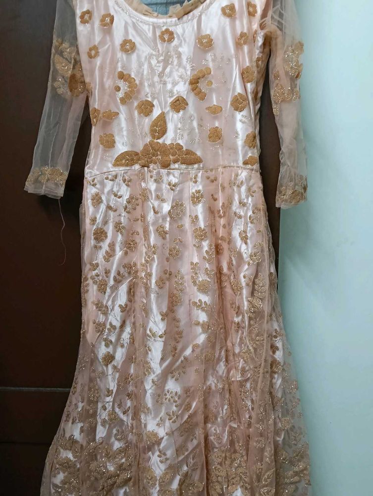 Elegant Ethnic Gown