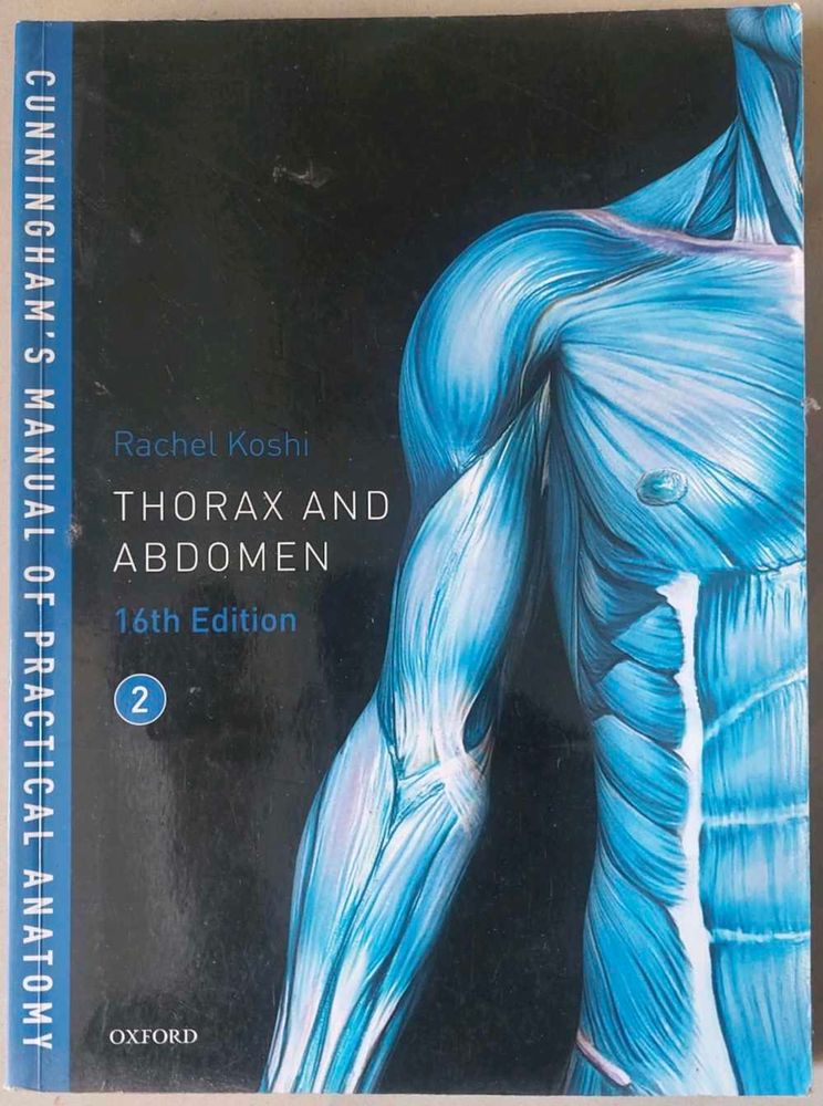 Thorax and Abdomen Anatomy Guide