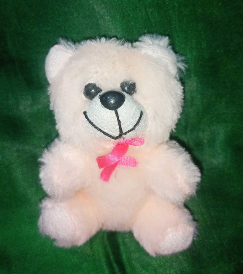 Cute Small Teddy Bear Plushie 🧸