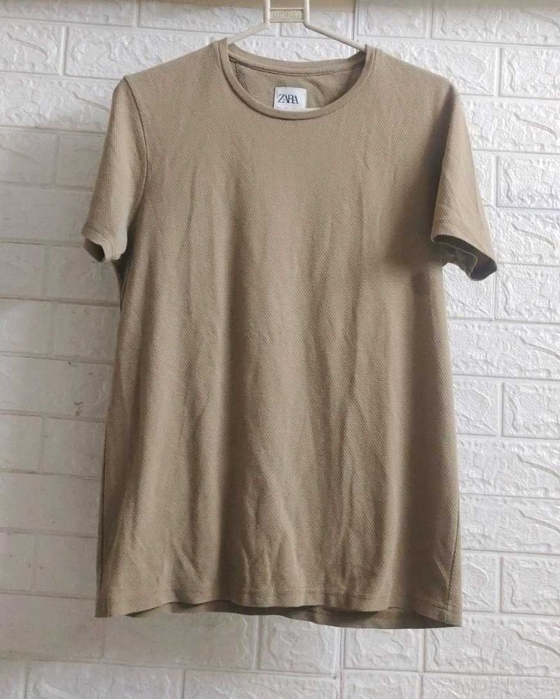 Zara Men&#39;s Basic Brown T-shirt (Single)
