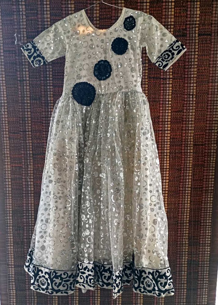 Elegant Ethnic girl Gown