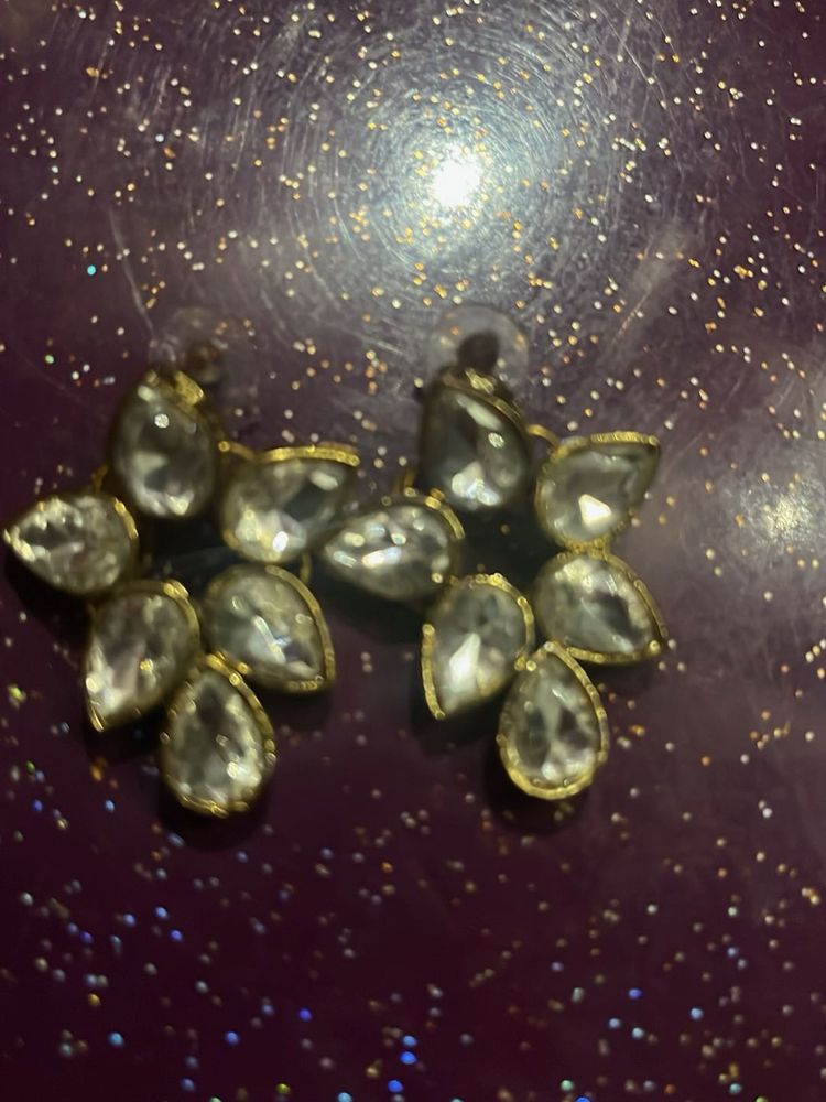 Sparkling Drop Earrings