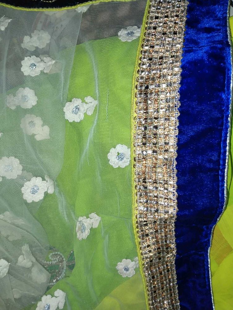 Elegant Lime Green With White Phalu Saree