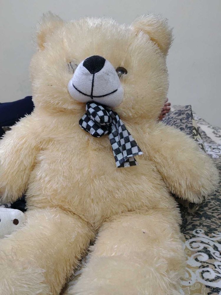 Cute Cream Teddy Bear