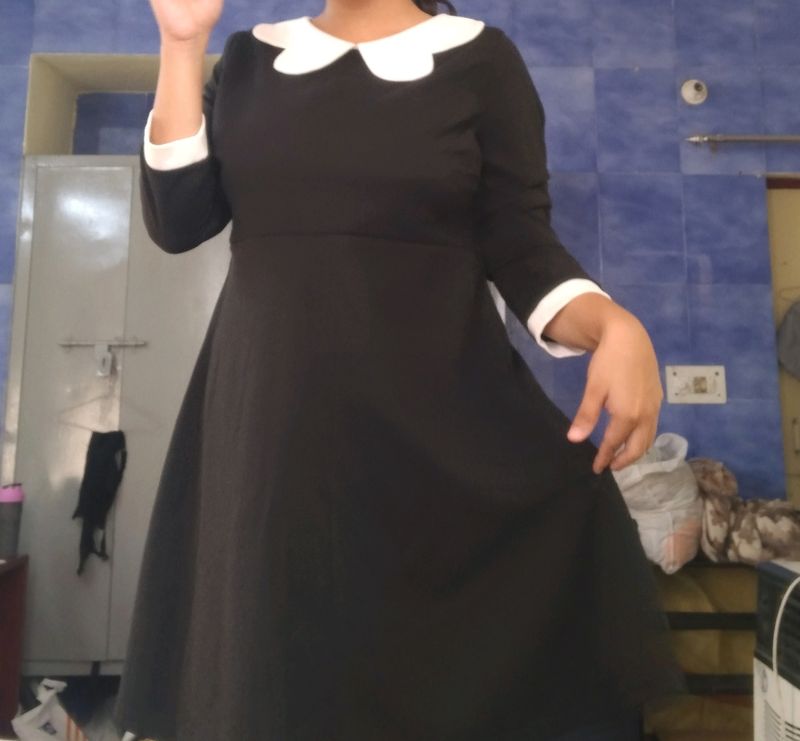 Shein Black Knee Length Dress - Pluss Size XXL