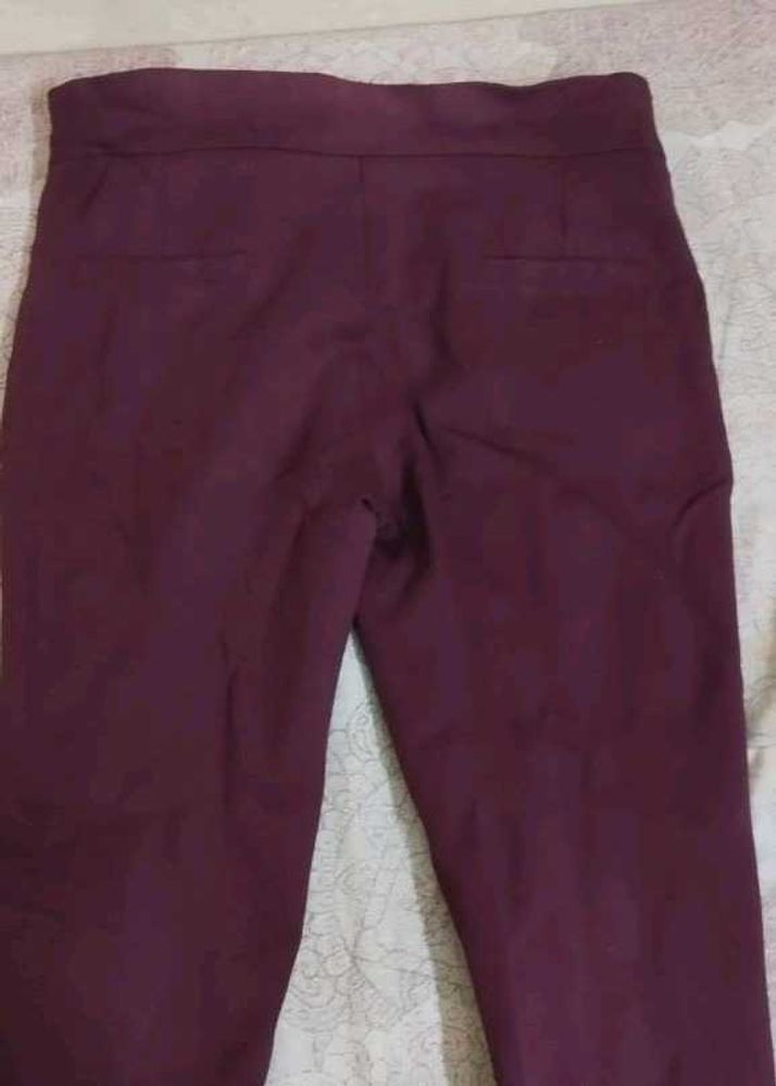 Burgundy Slim Fit Pants
