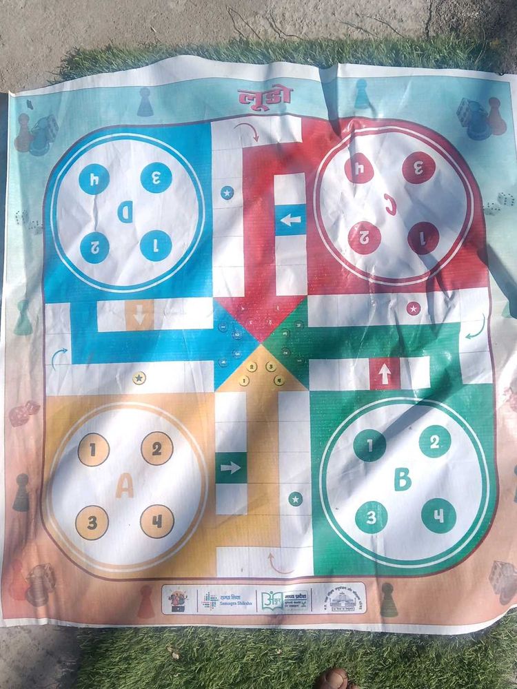 Ludo Banner