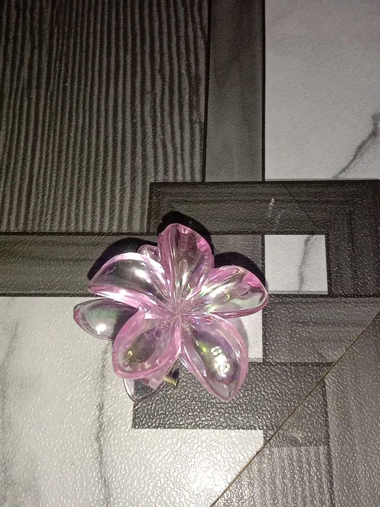 Hair Clips