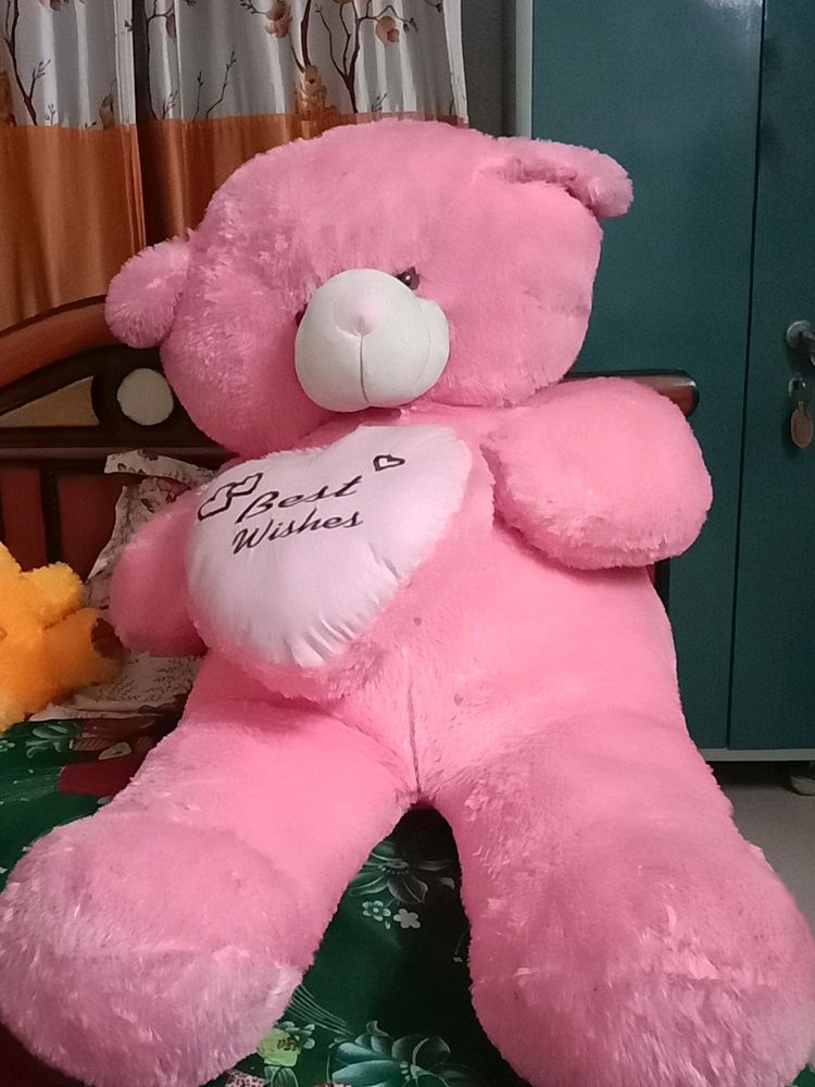 Teddy Bear