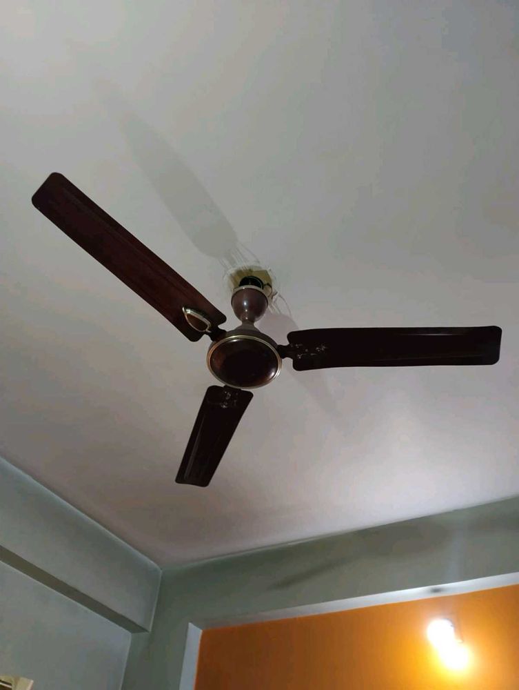 CEILING FAN FOR YOUR HOME