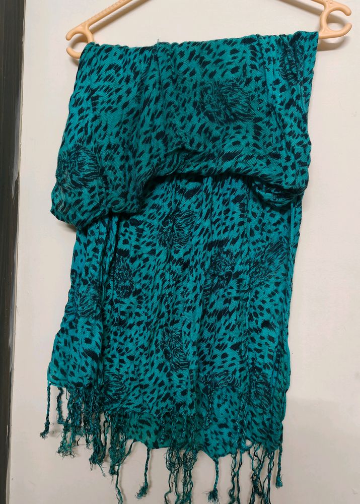 Stole For Daily Wear