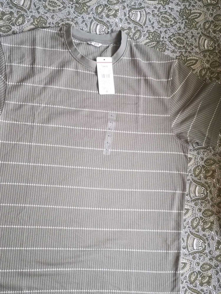 Men Invertee Thin Striped Regular Fit Crew Neck T-