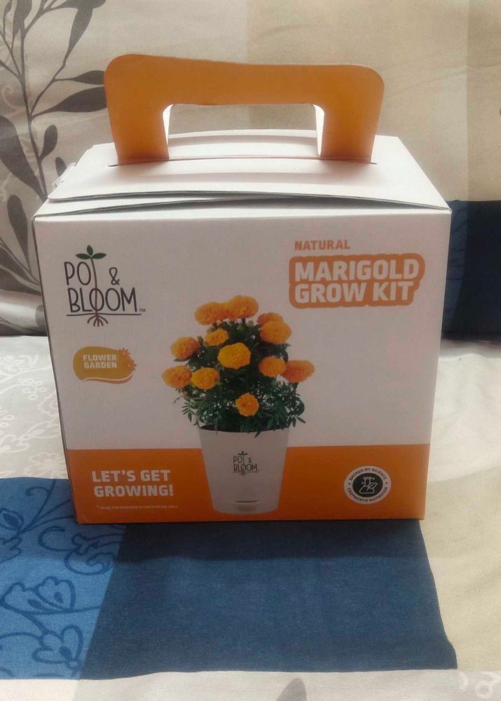 Beautiful Marigold Grow Kit