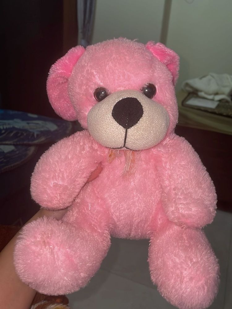 Pink Teddy Bear Plush